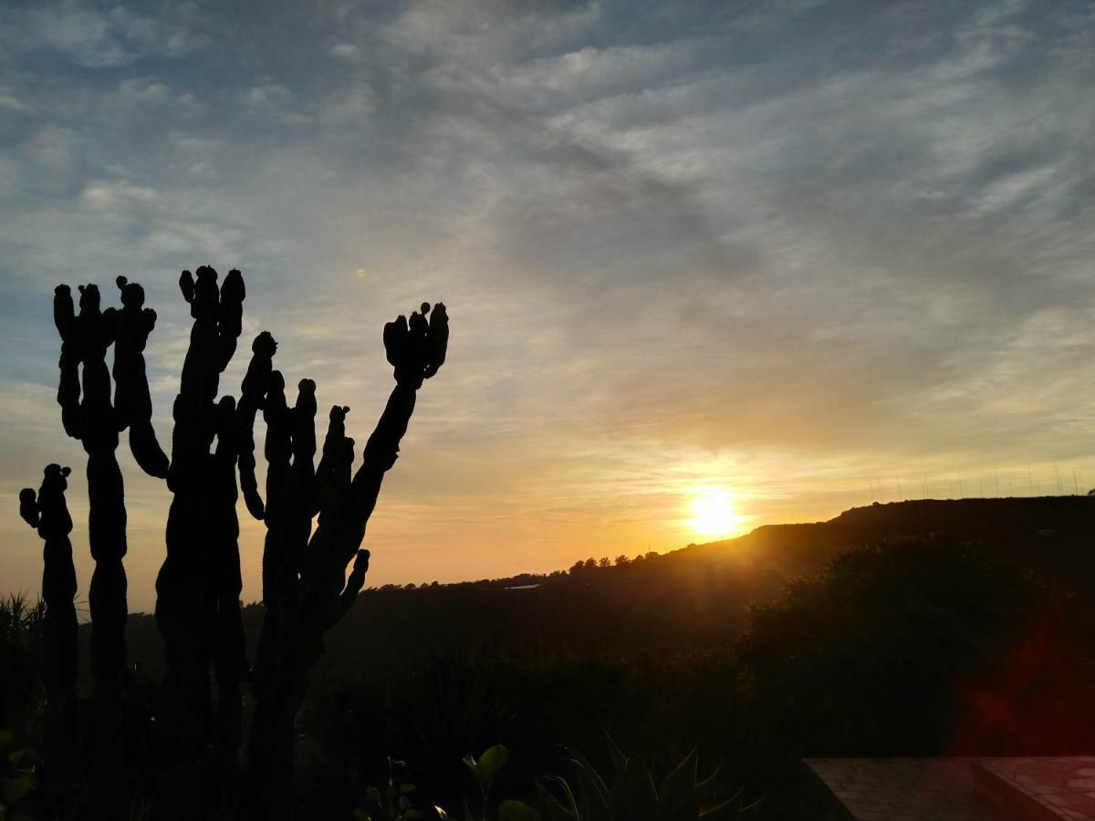 *****Finca Bella Vista Arucas Luaran gambar